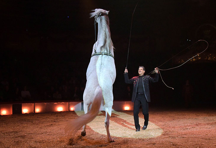 Hans-Ludwig Suppmeier mit seinen Pferden  im Wintersprogramm "Freestyle" des Circus Krone 2025 (©Foto: Ingrid Grossmann) 